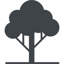 CVJ Landascape logo