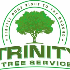 Avatar for Trinity Tree Service, LLC