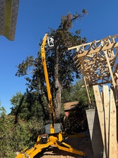 Avatar for Noah's Lawncare & Tree Service