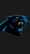 Avatar for Panther Tree Professionals