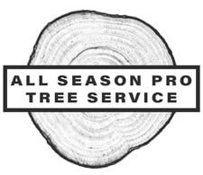 All Season Pro Tree Service logo
