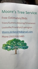 Avatar for Moore's Tree Service
