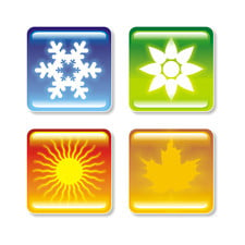 Avatar for Seasonal Solutions, LLC