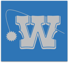 Logo for Western Indoor Environmental Services