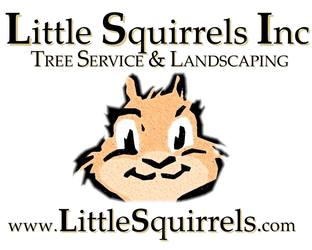 Little Squirrels Tree Service Inc. logo