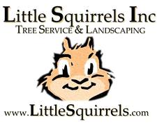 Logo for Little Squirrels Tree Service Inc.