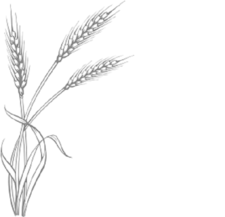 Avatar for A Peaceful Organized Life