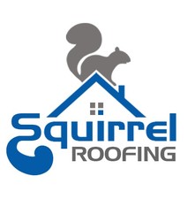 Squirrel Roofing logo
