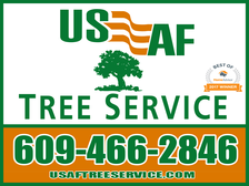 Avatar for USAF Tree Service