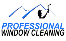 Professional Window Cleaning logo