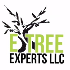 Avatar for Etree Experts