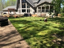 Avatar for Grass Doctor Lawn and Landscaping