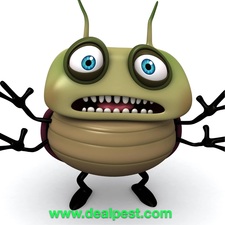 Avatar for Deal Pest Control, LLC