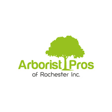 Logo for Arborist Pros of Rochester, Inc.