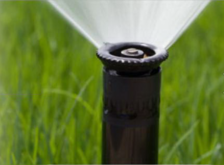 Sprinkler Specialist, Inc. logo