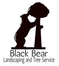 Logo for BlackBear Landscaping and Tree Service