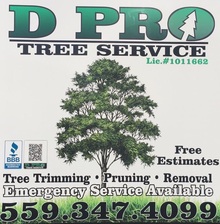 Logo for D Pro Tree Service