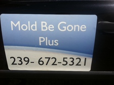 Avatar for Mold Be Gone Plus