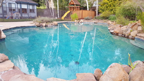 Garden Pool with natural looking pool
