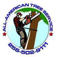 Avatar for All American Tree Service