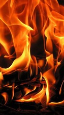 The Fireplace Guy logo