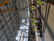 Avatar for DP Concrete