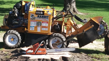 Avatar for Will's Stump Grinding