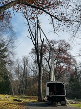 Avatar for RA Green Landscaping & Tree Service