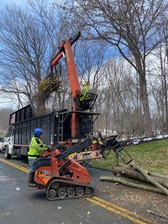 Avatar for Maximum Tree Service & Landscaping
