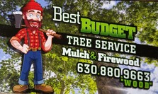 Best Budget Tree Service, LLC logo