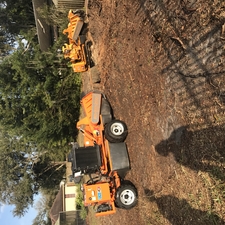 Lutz FL removal greensboro nc, stump