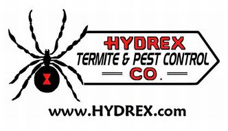 Drywood Termites Termite Control Simi Valley Photos Of Termite Control Simi Valley