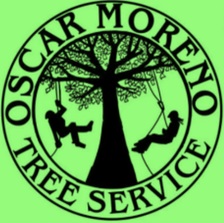 Logo for Oscar Moreno Tree Service