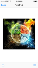 Avatar for Go Green Restoration of N.C.