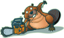 Hidden Oak Tree Care logo