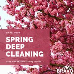 Bravo Cleaning Services logo