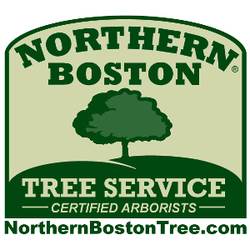 Northern Boston Tree Service logo