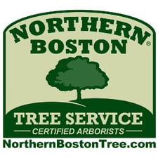 Northern Boston Tree Service logo