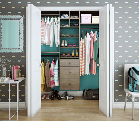 Modern Closet with wall mount closet organizer