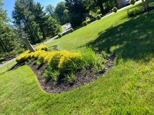 Avatar for JEM Landscaping Services, LLC