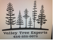 Valley Tree Experts logo
