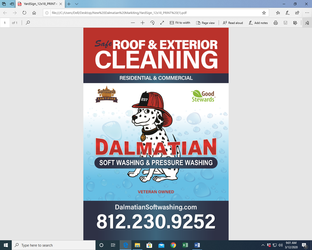 Dalmatian Soft Washing and Pressure Washing logo