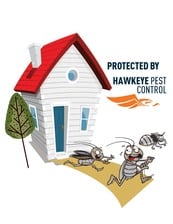 Avatar for Hawk Eye Pest Control LLC