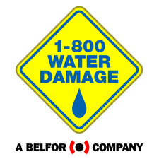 Avatar for 1-800 Water Damage of NE TX & NW LA