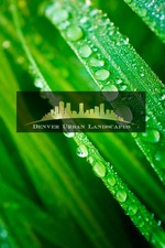 Avatar for Denver Urban Landscapes, LLC