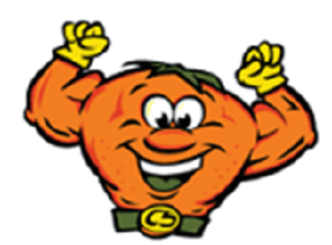 CitruSolution Carpet Cleaning of Brevard County, Florida logo