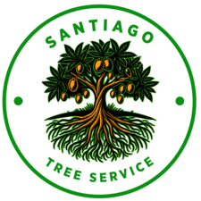Avatar for Santiago Tree Service