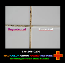 Avatar for Magicolor Grout Guard Restore