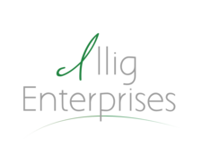 Illig Enterprises, LLC logo