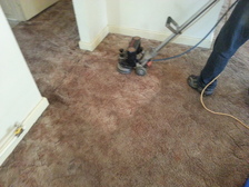 Avatar for Karls Carpet Cleaning